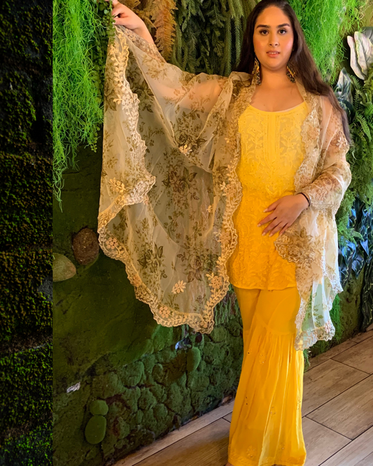 Organza dupatta ochre