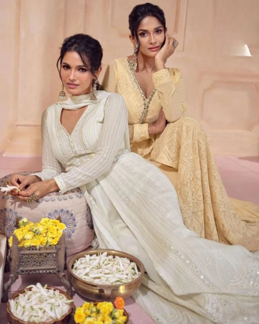 Beige chikankari anarkali gown dress