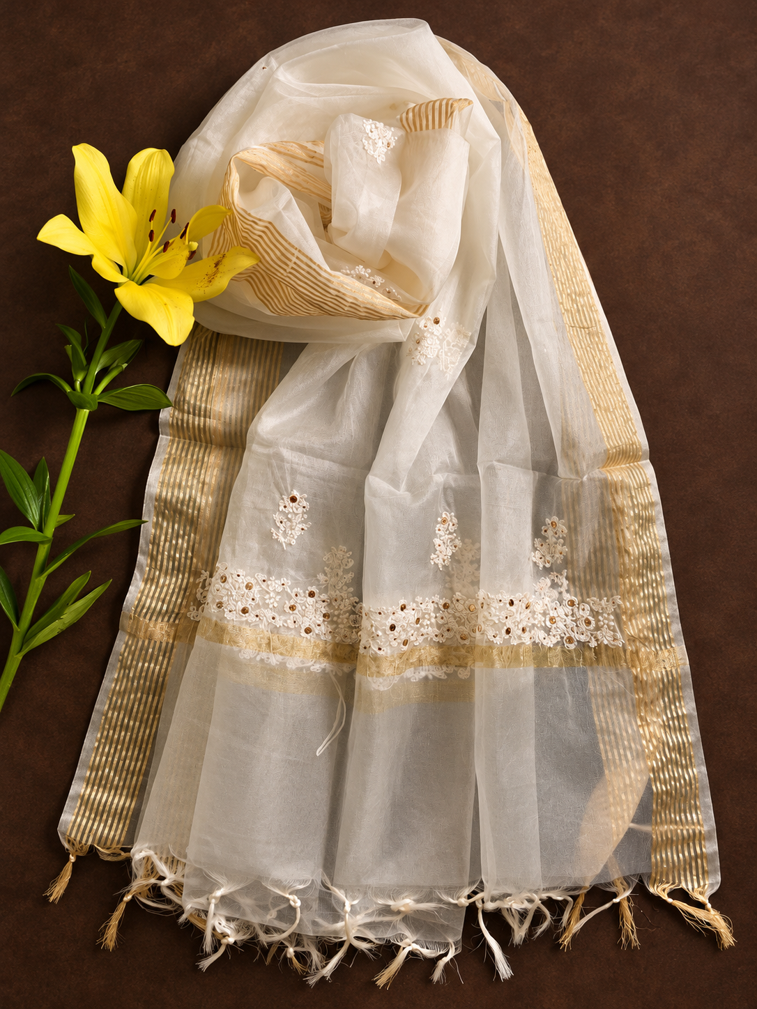 Chanderi chikankari dupatta/ Stole